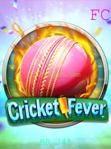 Explorando o Jogo 'CricketFever' e o Significado da Palavra-chave 'BR 345'